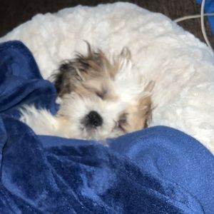 Meet your Posher, Ismael